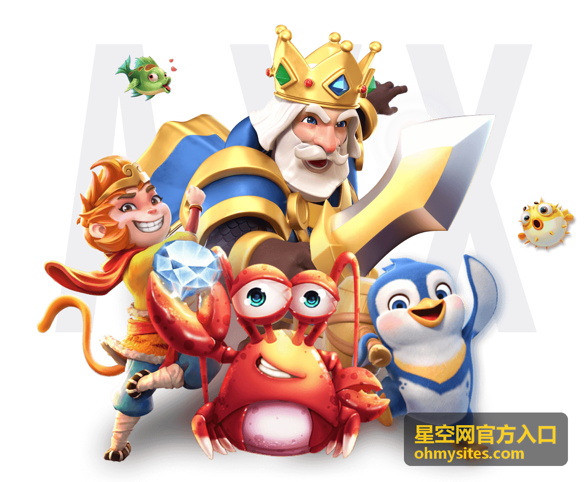 星空网官方入口通道指引配图